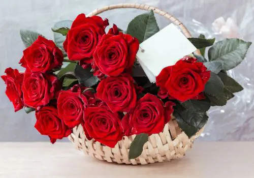 flores para regalar. envios de flores a domicilio