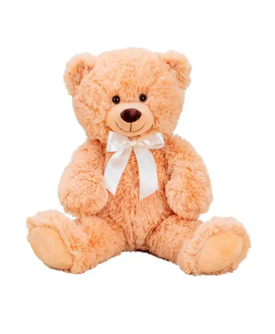 Oso de peluche complemento